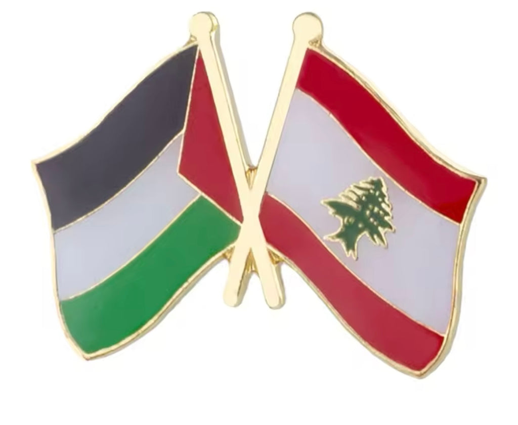 Lebanon x Palestine Pin