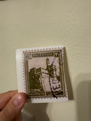 MISPRINT Palestine Olive Stamp Sticker