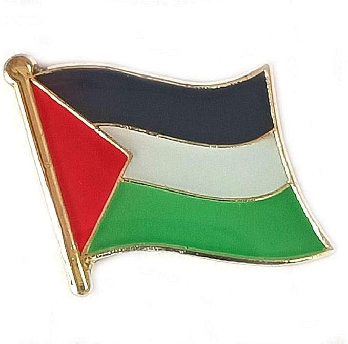 Palestine Flag Pin – Project Palestine