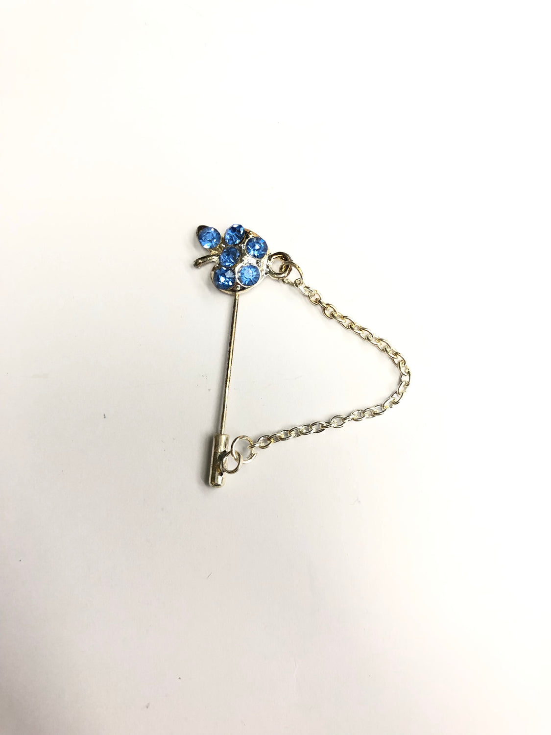 clasp pin with blue apple jewel and a chain
